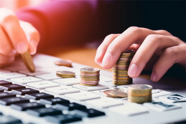 預(yù)算分析過程中，如何識(shí)別并糾正數(shù)據(jù)偏差，確保準(zhǔn)確性？