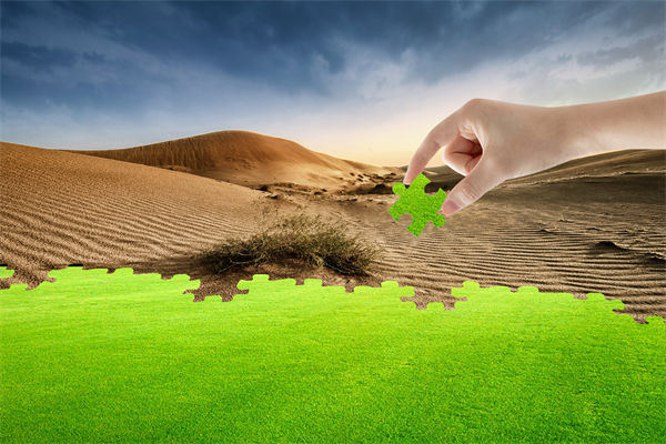 企業(yè)深陷困境，管理咨詢?nèi)绾我岳做侄未蚱瓢l(fā)展僵局？