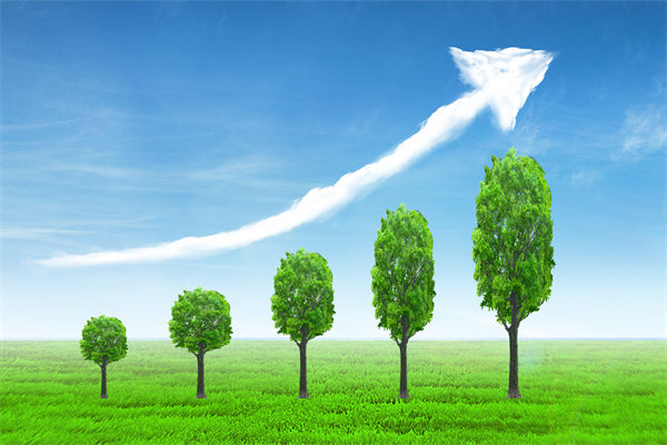 植樹就是植未來，對企業(yè)的戰(zhàn)略規(guī)劃有哪些啟示？