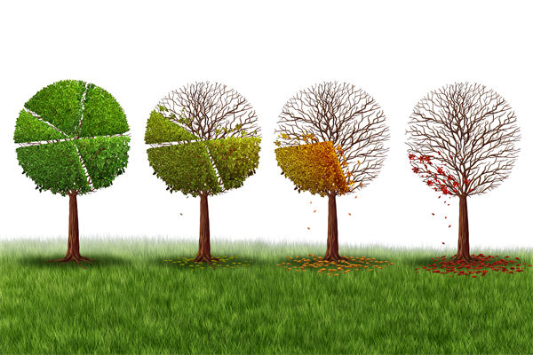 市場份額下滑，是競品打壓，還是營銷管理策略過時？